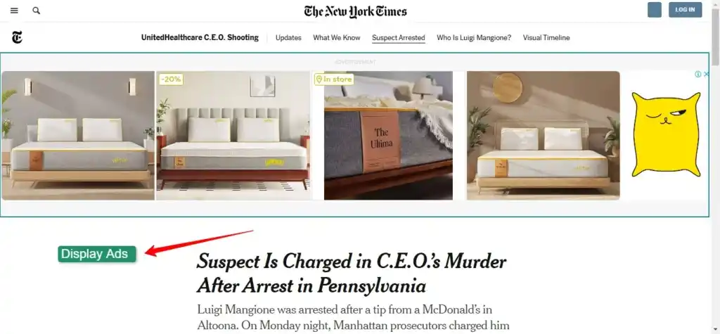 best google ads consultant in india